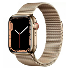 Смарт-годинник Apple Watch Series 7 GPS + Cellular 45mm Gold Stainless Steel Case with Gold Milanese Loop (MKJG3)